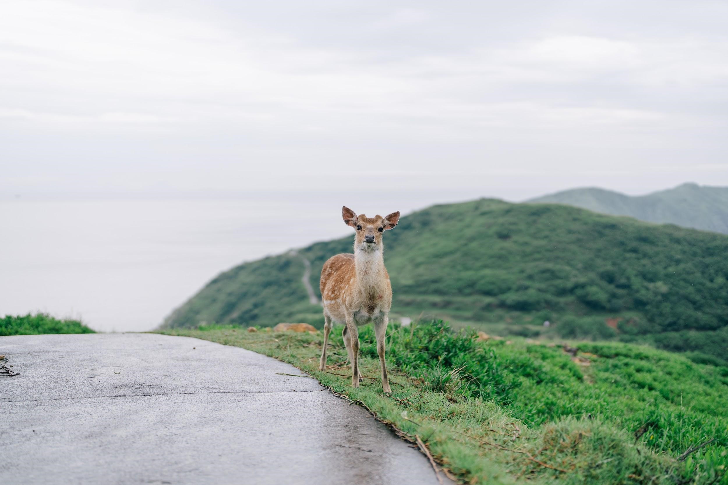 Sonyα1 + FE 50mm F1.2 GM｜50mm, F1.2, 1/6400s, ISO100