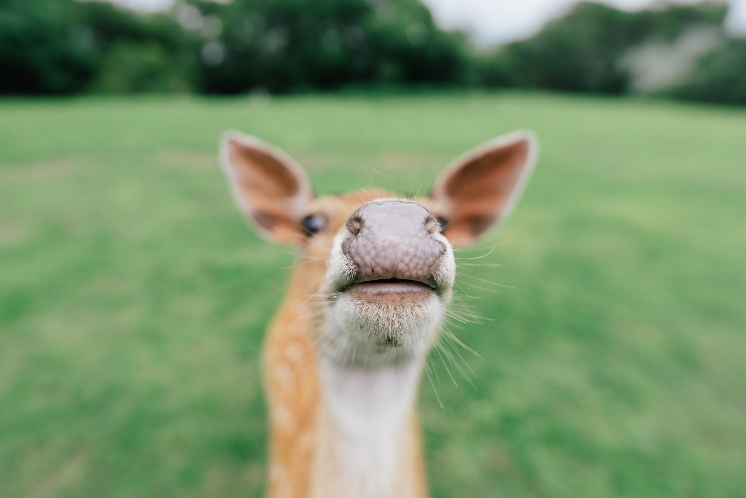 Sony α1 + FE 14mm F1.8 GM｜14mm, F1.8, 1/1250s, ISO100