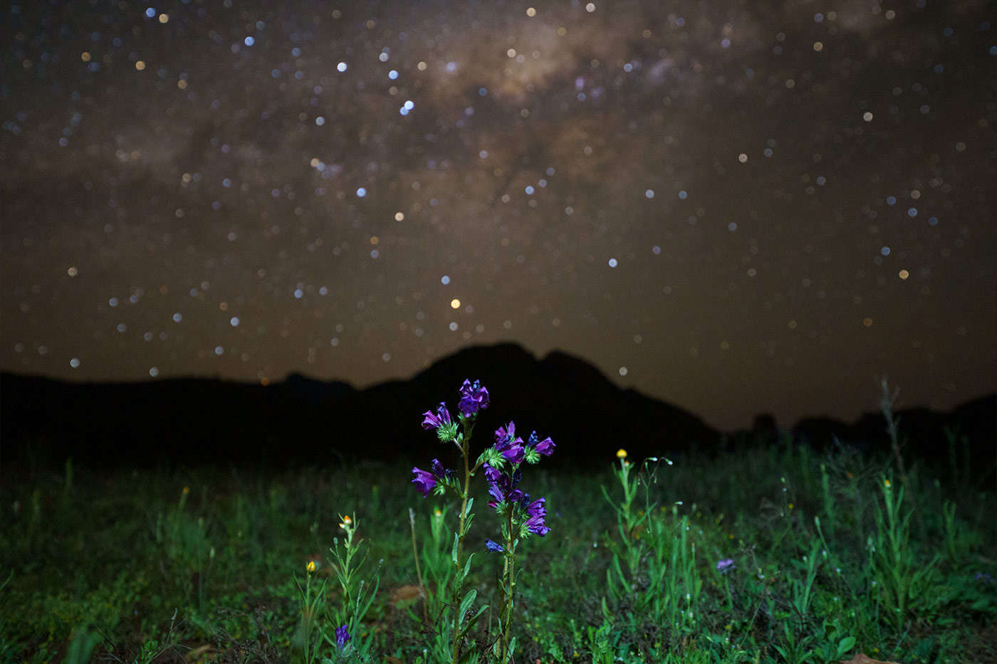 Zoom - astrophotography with Jay Evans 2