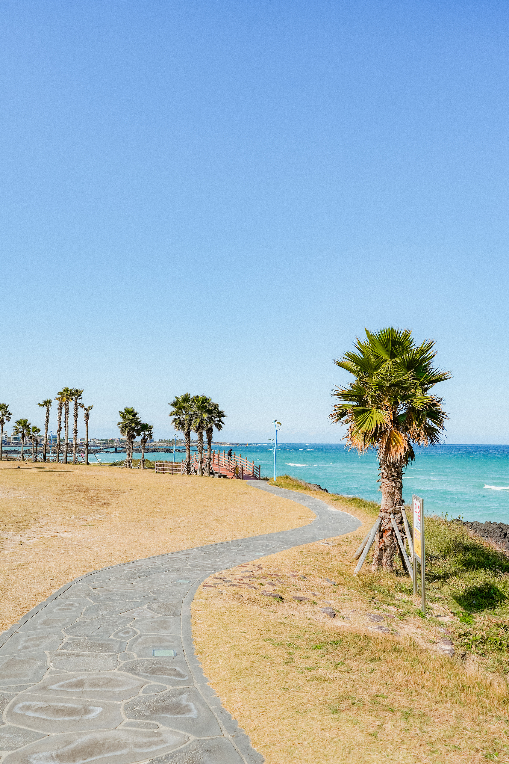 Jeju stone walkway by seaside